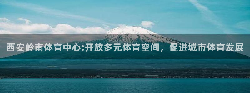 vsport体育官方正版app娱乐下载:西安岭南体育中心:开