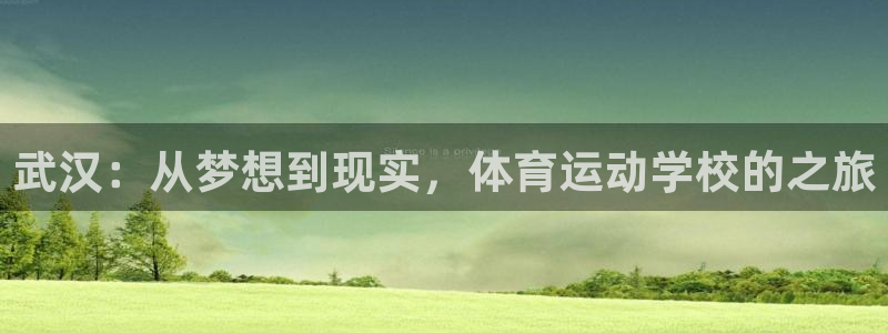 vsport体育官网下载招商电话:武汉:从梦想到现实,体育运