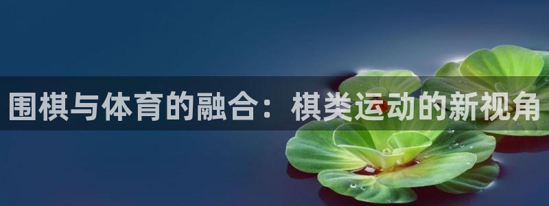 vsport体育官网下载平台注册流程图:围棋与体育的融合:棋