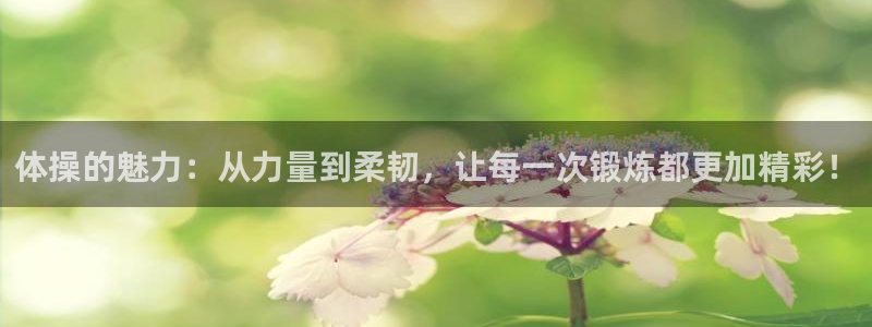 vsport体育官网下载招商电话号码是多少:体操的魅力:从力