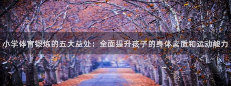 vsport体育官方正版app官网:小学体育锻炼的五大益处: