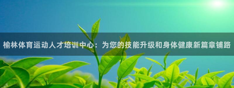 vsport体育官方正版app官方:榆林体育运动人才培训中心